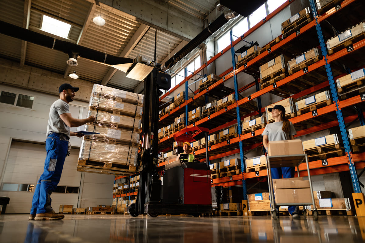 Виды стеллажей для склада: как выбрать тип стеллажа под задачи склада